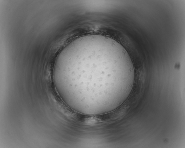 X0000110670754200906261257