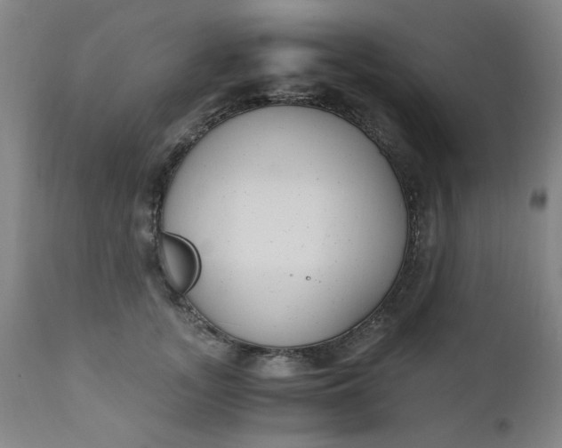 X0000110670755200906261257