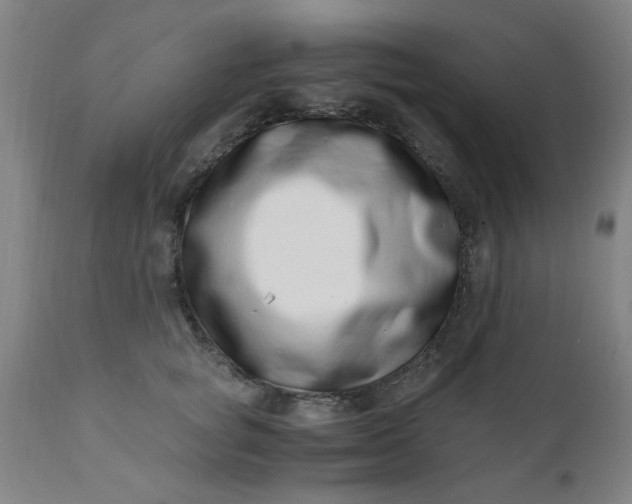 X0000110670757200906261257