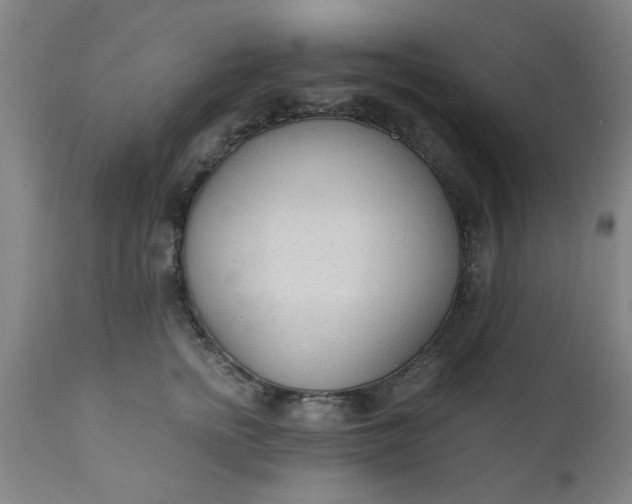 X0000110670758200906261257