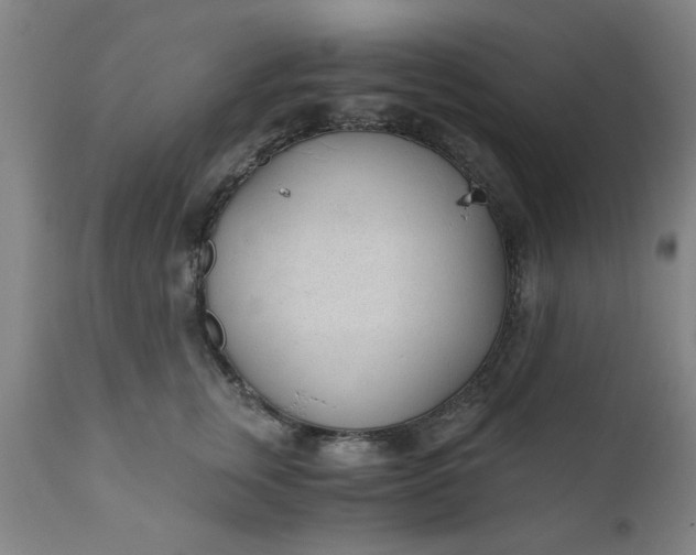 X0000110670759200906261257
