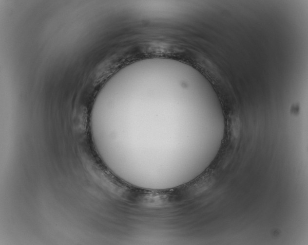 X0000110670760200906261257
