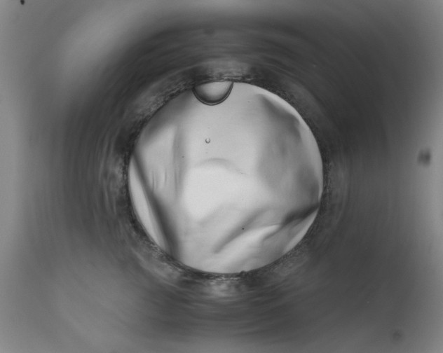 X0000110670761200906261257