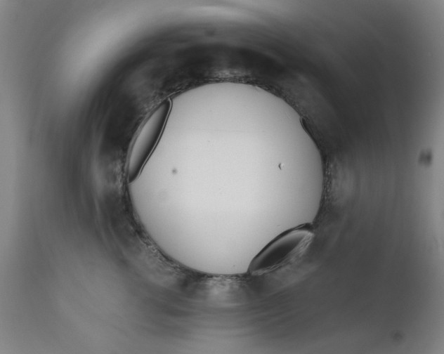 X0000110670762200906261257