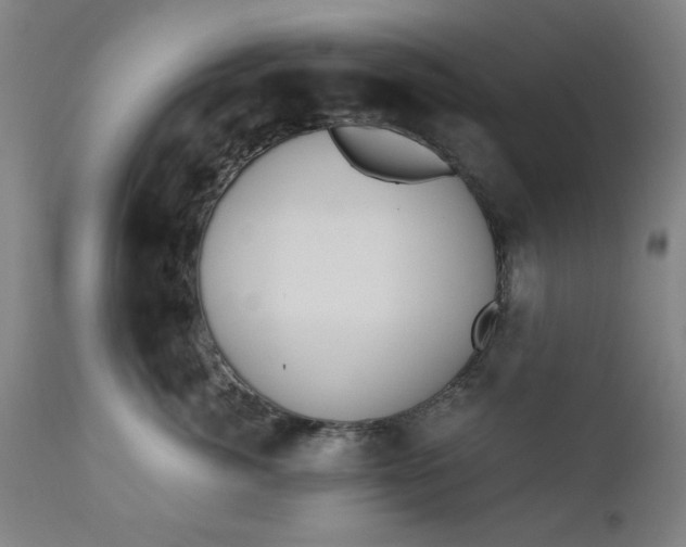X0000110670764200906261257