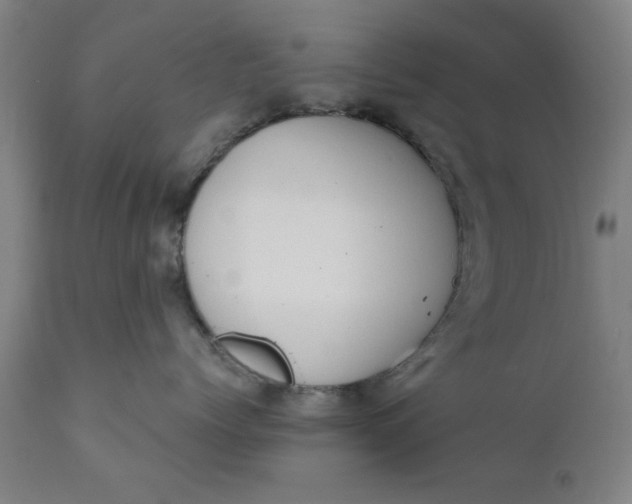 X0000110670768200906261257