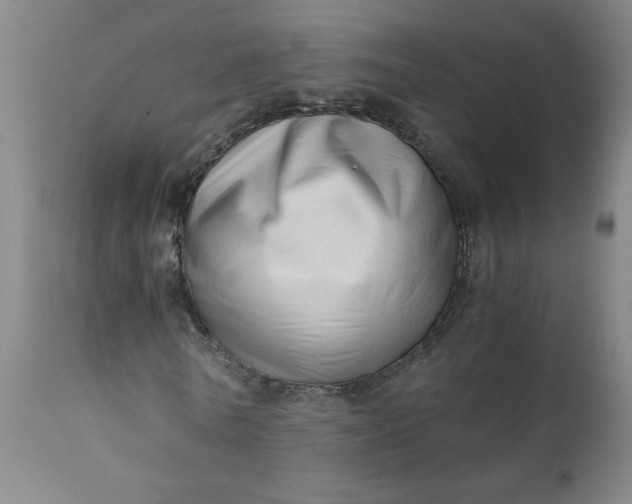 X0000110670770200906261256