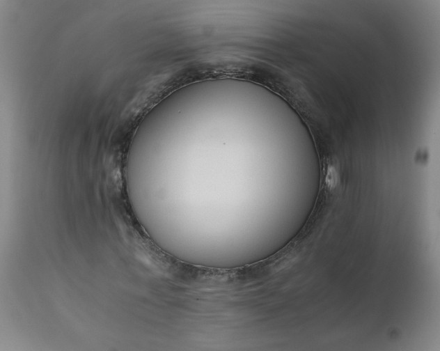 X0000110670771200906261256
