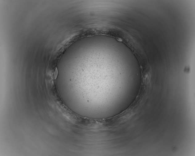X0000110670772200906261256