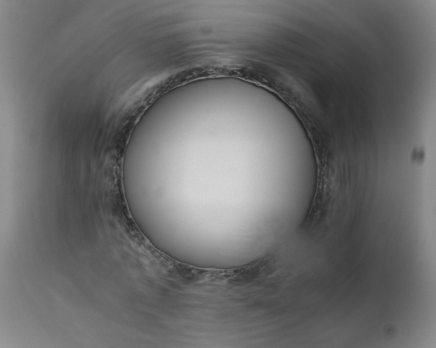 X0000110670773200906261256