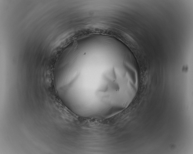 X0000110670774200906261256