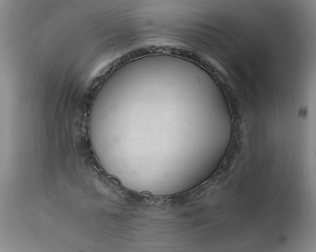 X0000110670775200906261256