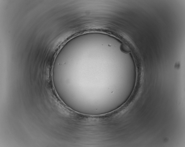 X0000110670777200906261256
