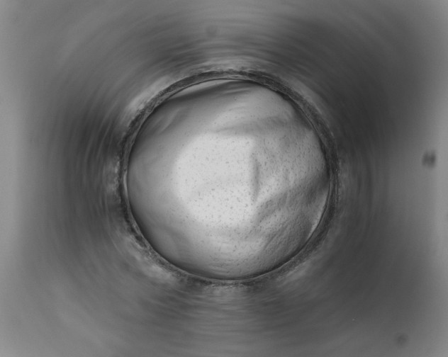 X0000110670778200906261256