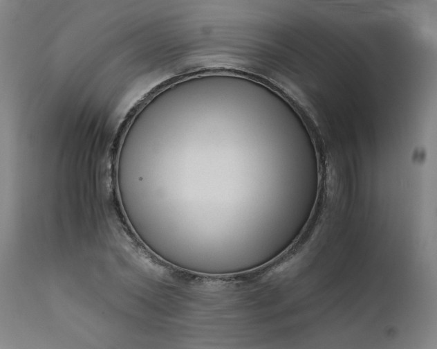X0000110670782200906261256