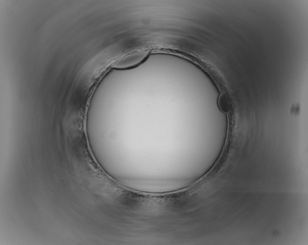 X0000110670785200906261256