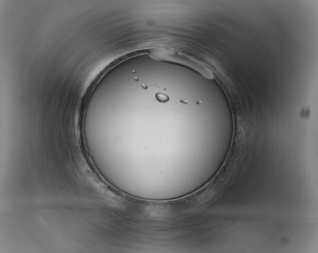 X0000110670788200906261256