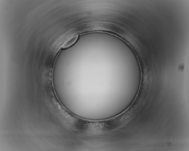 X0000110670793200906261256