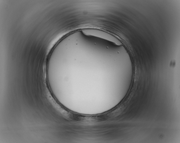 X0000110670796200906261256
