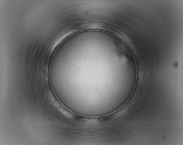 X0000110670798200906261256