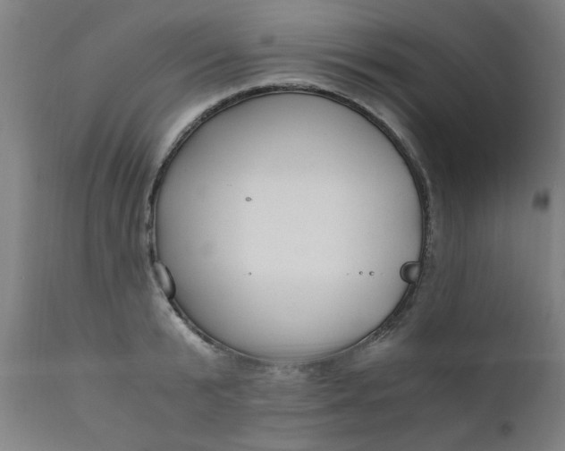 X0000110670799200906261256