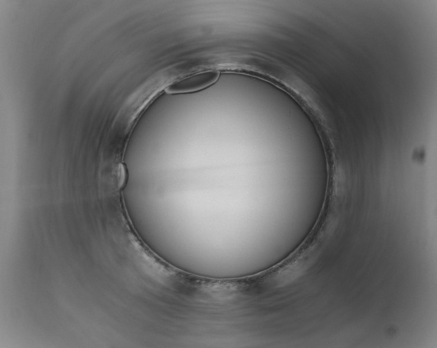 X0000110670801200906261256