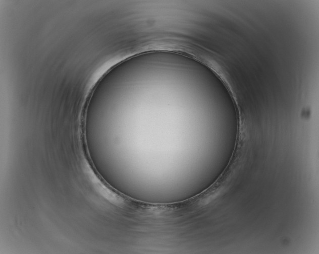 X0000110670803200906261256