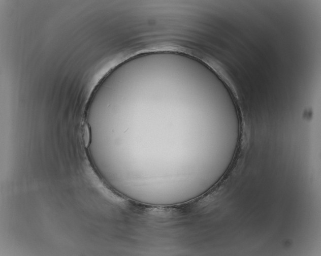 X0000110670805200906261256