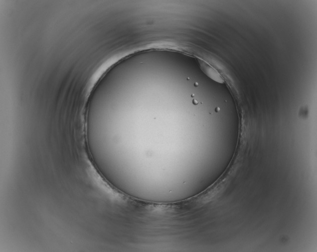 X0000110670808200906261256