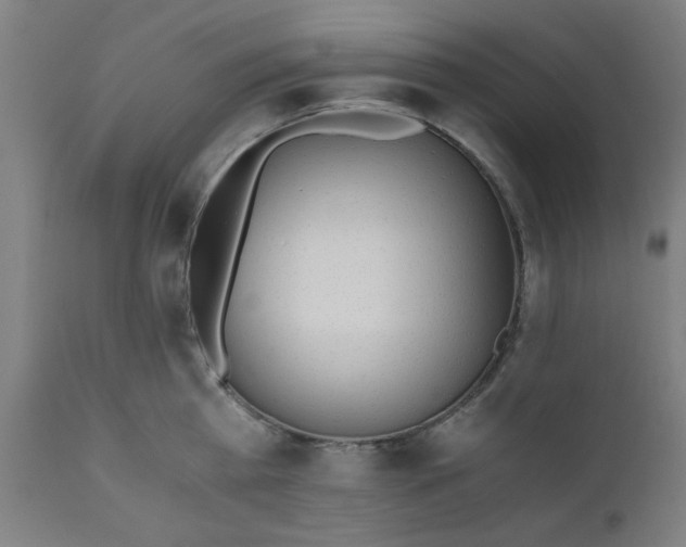 X0000110670809200906261256