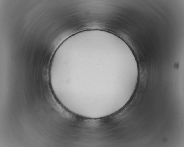 X0000110670810200906261256