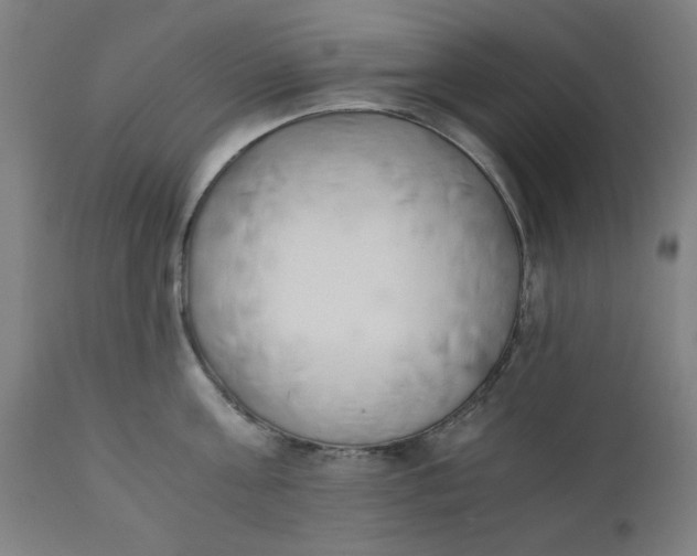 X0000110670811200906261256