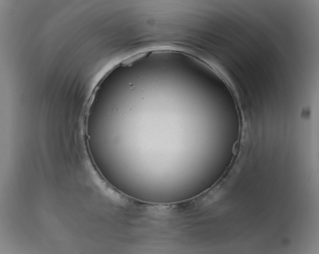 X0000110670813200906261256