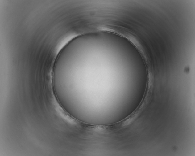 X0000110670814200906261256