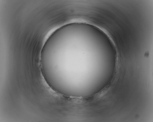 X0000110670815200906261256