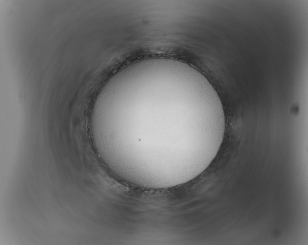 X0000110670817200906261255