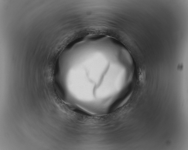X0000110670819200906261255