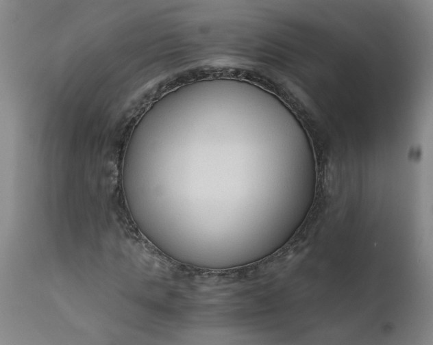 X0000110670821200906261255