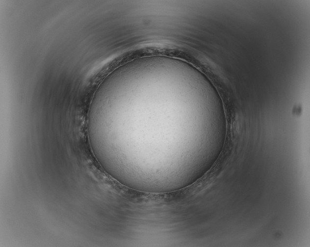 X0000110670822200906261255
