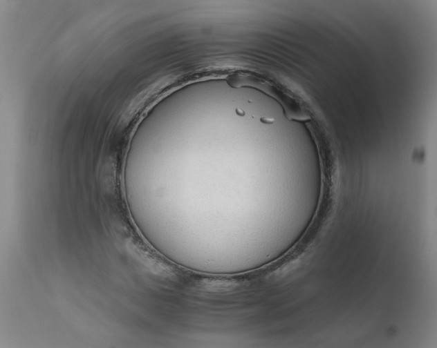 X0000110670825200906261255