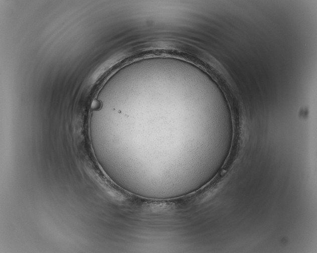 X0000110670826200906261255