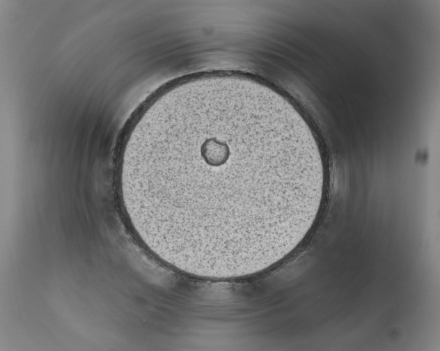 X0000110670828200906261255