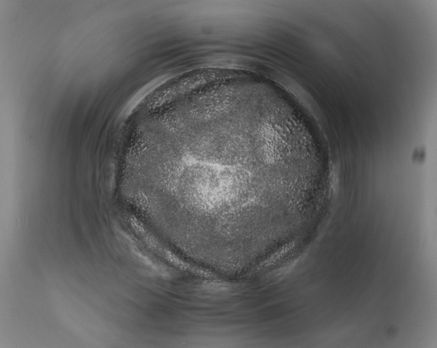 X0000110670829200906261255
