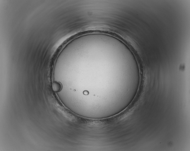X0000110670830200906261255