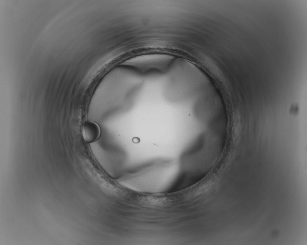 X0000110670831200906261255