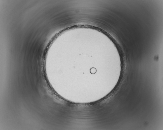 X0000110670832200906261255