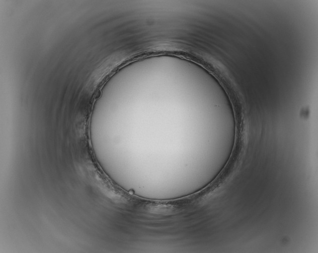 X0000110670833200906261255