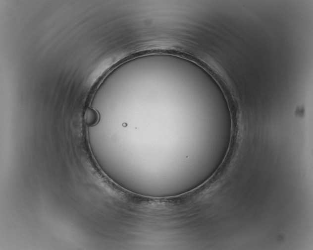 X0000110670834200906261255