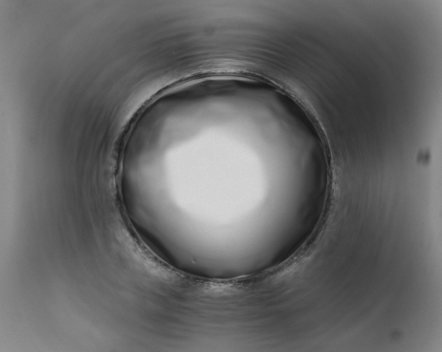 X0000110670835200906261255