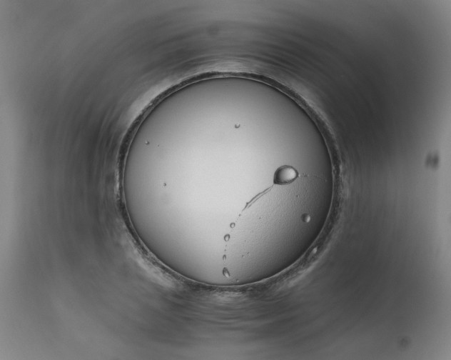 X0000110670837200906261255